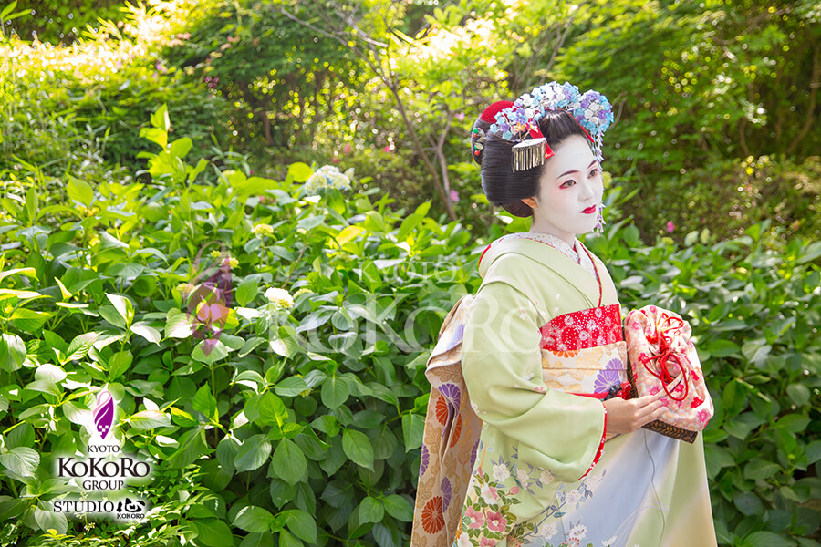 紫陽花や帷子時の薄浅黄 | ブログ | 舞妓体験 花魁体験 STUDIO心